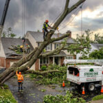 Emergency tree removal