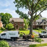 Tree Trimming Service