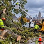 Emergency Tree Removal