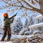 Tree Pruning Buffalo NY