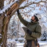 Tree Company Buffalo